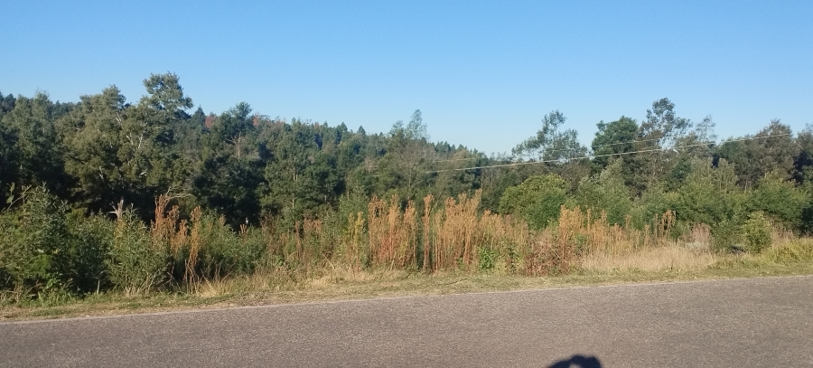 0 Bedroom Property for Sale in Friemersheim Western Cape